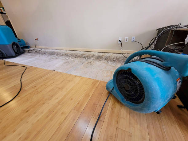 Professional Ceiling Water Damage Repair technician working in Carson, CA
